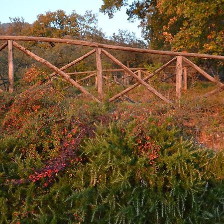 Locazione Turistica Villa Delle Rose Assisi Eksteriør bilde