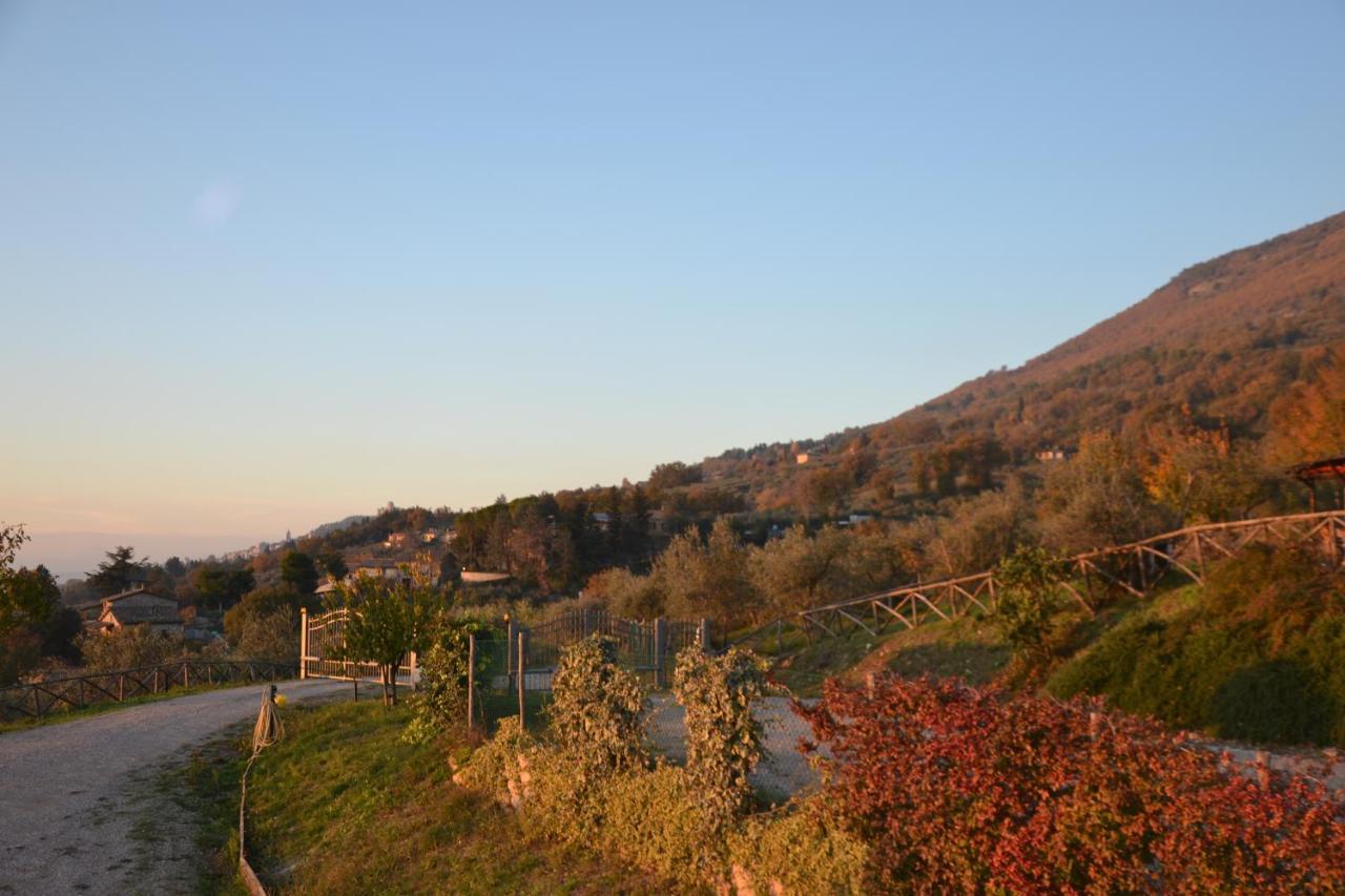 Locazione Turistica Villa Delle Rose Assisi Eksteriør bilde